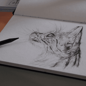 #cat #pencil #drawing #tattooidea 