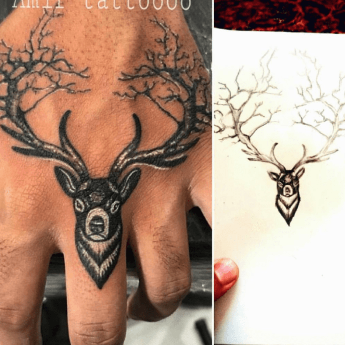 Stag tattoo on hand  Divine tattoo rajkot  8153995995   stag  stagtattoo stagtattoodesign stagtattooidea stagtattooidea  Instagram