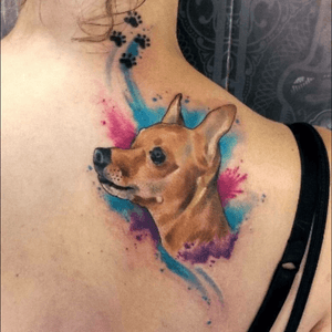 #tattoo #dog #watercoloranimals #watercolortattoo #samuka #thesiamesetattoo #brazilianartist 