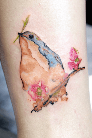 Watercolor bluebird 