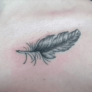 Feather tattoo #feather #blackAndWhite #smalltattoo #chest 