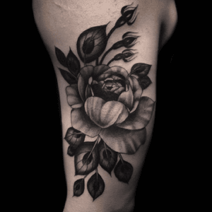 Tattoo by Lance Levine. See more of Lance’s work here: https://www.larktattoo.com/long-island-team-homepage/lance-levine/ #realistictattoo #bng #blackandgraytattoo #blackandgreytattoo #realism #tattoo #tattoos #tat #tats #tatts #tatted #tattedup #tattoist #tattooed #tattoooftheday #inked #inkedup #ink #amazingink #bodyart #tattooig #tattoosofinstagram #instatats #larktattoo #larktattoos #larktattoowestbury #westbury #longisland #NY #NewYork #usa #art #rose #roses #roseart #rosetattoo #RoseTattoos 