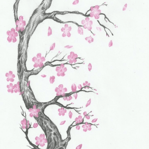 Always loved the elegant flow of cherry blossoms #dreamtattoo 