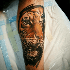 Tiger by Mick Wallace #tiger #tigertattoo #mickwallace #inksupremacy #realism #numbskulled 