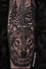 Wolf with trees #wolftattoo #blackandgrey #bnginksociety #inksav #inkstagram #tattoosnob #Tattoodo 