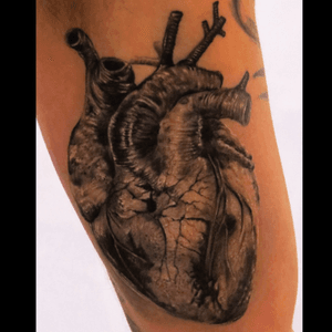 #Anatomical #Heart by #YomicoMoreno 