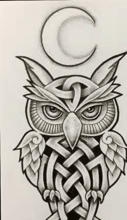 Tattoo uploaded by Shane Patrick Bettes  This is Celtic Owl tattoo idea   Tattoodo