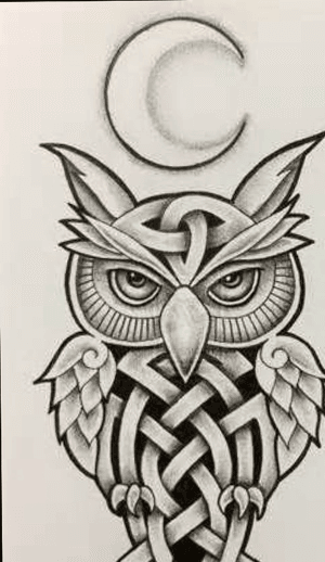 This is Celtic Owl tattoo idea