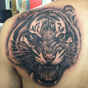 Tiger i did #tattoo #tattooart #tattootiger #blackandgreytattoo #inked 