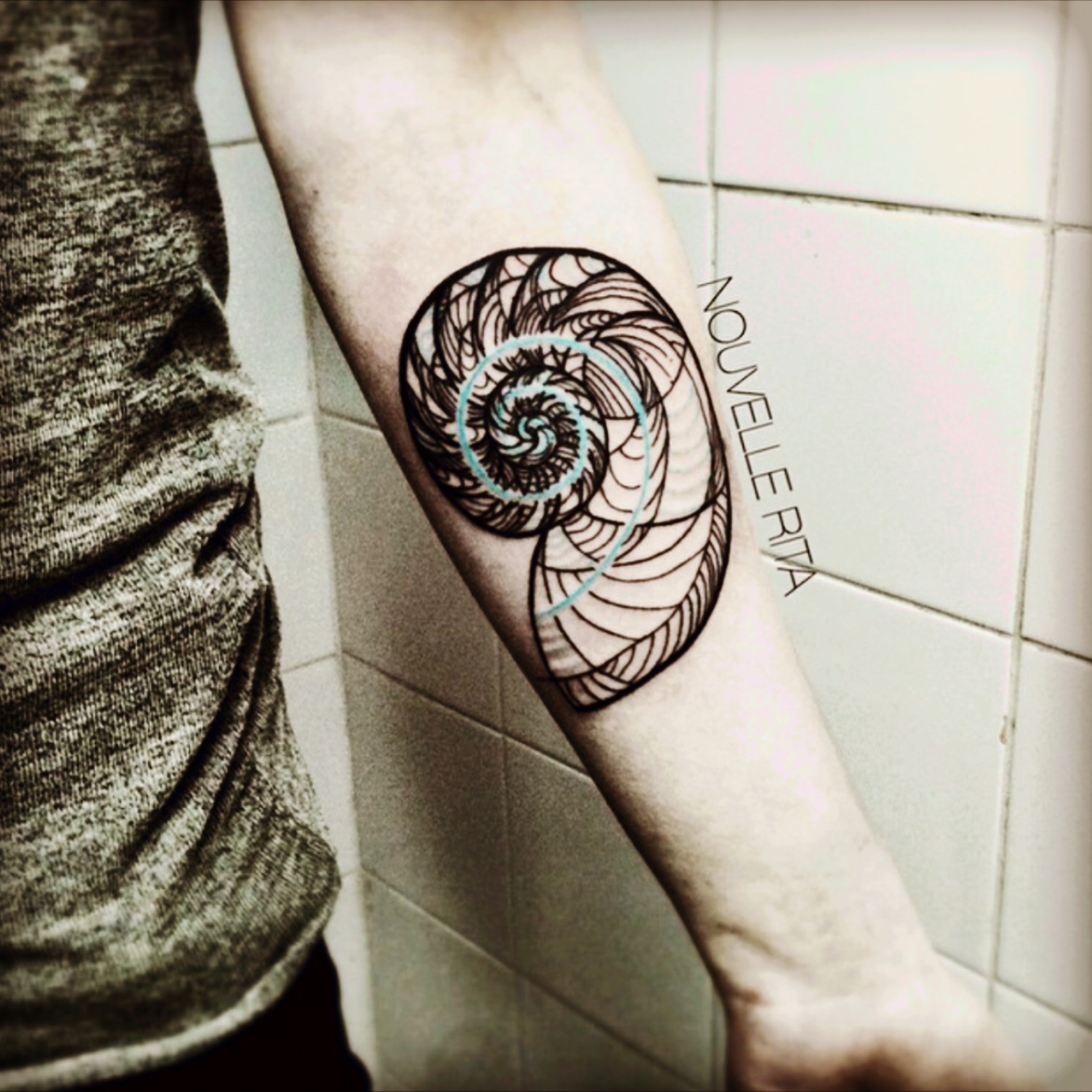 Tattoo Uploaded By Tara Very Cool Snail Shell 1076 Tattoodo