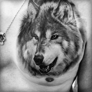 #MEGANDREAMATTOO   Trying to get a different look from each side. View from one side and get the focused wolf, the other, a hint of my dog Jess.