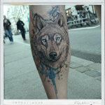 #watercolor #watercolortattoo #tattoos #wolf #wolftattoo #tattoowolf #colortattoo this piece was done on our tattoo collector Martin, done at @k-ink tattoostudio.