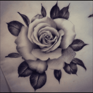 #next #tattoo #rose 