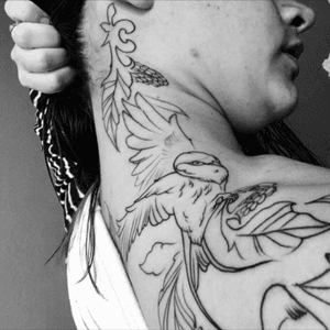 Swallow outline