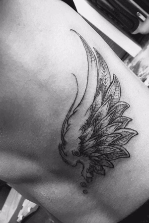 The wings