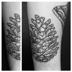 Little pine cone 🌲 #pinecone #tattoo #pineconetattoo