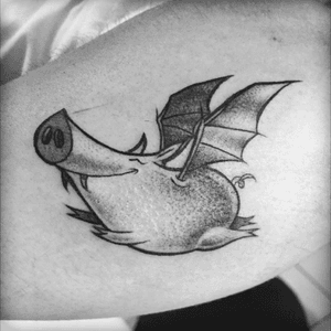 #tattoo #tatuagem #tatuaje #ink #inkaddicts #inkaddict #art #arts #cacoal #brazil #lucaslock #me #artistic #illustration #yes #tattoer #tattooartist  