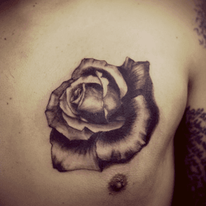 Roses all the way #realistic #rose #chesttattoo #blackandgrey #memorialtattoo #tattooapprentice 