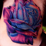 The detail of this flower is amazing #rose #flowers #blue #pink #hyperrealism #detail