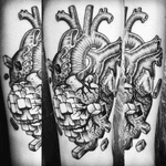 #dotwork #stippling #stipplingtattoo #fineline #finelinetattoo #blackwork #brooklyn #brooklyntattoo #nyc #nyctattoo #newyorkcity #heart #hearttattoo #anatomicalheart #anatomicalhearttattoo