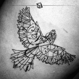 Tat No.15 "Geometric Brid" (based on Dr Woo's art) I'm still #improving and need to work out those #lines and #circles 😁 #tattoo #bird #geometric #bylazlodasilva