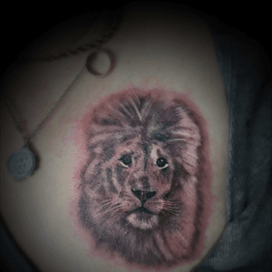 Lion portrait to add to a collection of tattoos in this regular customer 