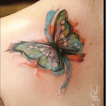 Watercolor! #butterfly #justinnordine #watercolor 