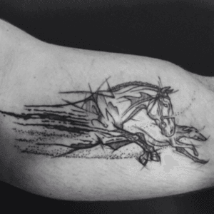 #sketchstyle #sketchtattoo #sketch of a #horse & #hound #dog on #innerarm  #innerbicep in #black #lines & #dots #artist unknown - great piece 
