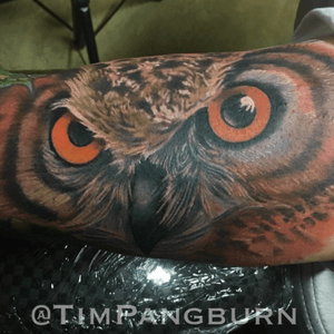 Owl eyes. Not my normal thing, but lots of fun. What do you think? #realism #colorrealism #owl #owltattoos #TimPangburn 