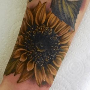 Sunflower by #ChloeAspey @ #BlueCardinal 