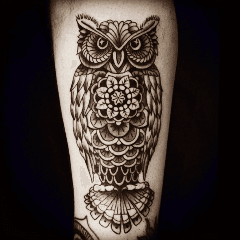 Owl Tattoo Images  Free Download on Freepik