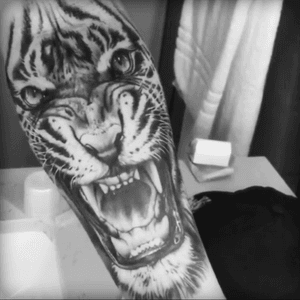 #whitetiger #tattoolife #animalart #teeth #aggressive #predador  #wantthisohard!