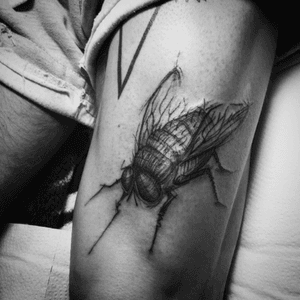Fly for Lukasz / Poland, Warsaw #fly #tattoo #sketchstyle #blackwokers #blackworkerssubmission #tattoos 
