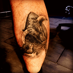 #sktattoo#tattoo#inked#bull #canada#