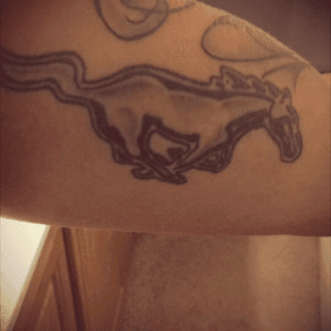 The Mustang symbol for my very first car. I had it for 12 years and finally had to put her down and i will have another one. 