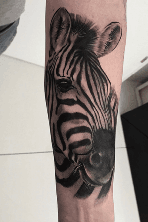 Zebra Sleeve