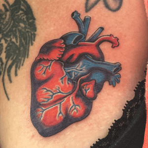 Anatomical heart done on a sweet lady ❤️ #heart #anatomicalheart #anatomicalhearttattoo #customtattoo #ladytattooer #ladytattooers #fkirons #spektrahalo #coloradotattoo #coloradotattooers #coloradotattooartist 