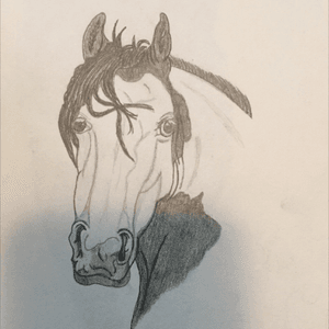 #horse #painthorse