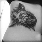 Drogo; my love #greatwhiteshark #tattoo #love 