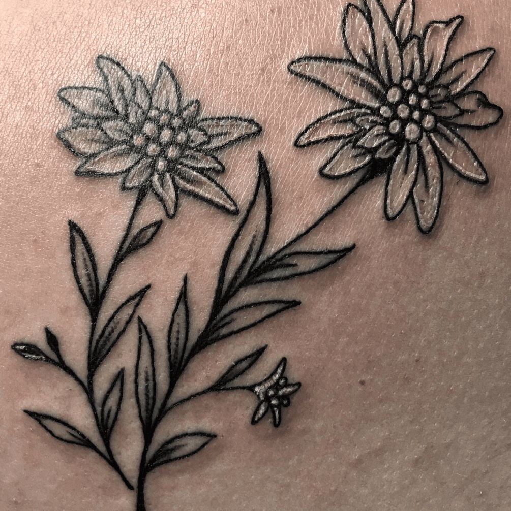 Aggregate more than 68 minimalist edelweiss tattoo super hot  ineteachers