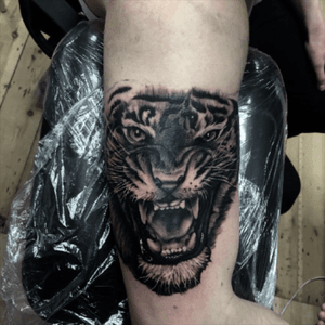 #tigertattoo #tiger #tattoo #d#followmeto #newschool #hyperealism #photorealistic #liketattoo #tatooartist 