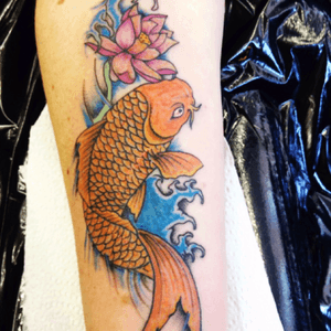 My koi in colour before adding in the extra lotus flowers #LoveMyKoi #LoveMyTattoos #NeedMoreInk #KoiInColour