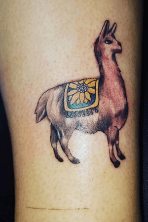 My sister and I have matching llama tattoos 