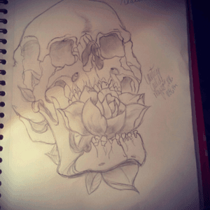A skull and rose sketch i put together