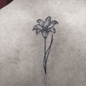 Delicate lily #tattoo #tattoos #eternalink #neotat #neotatmachines #tattooartist #longislandtattoo #longislandtattooartist #ladytattooers #tattooer #lily #flower #minimal #minimalism #lines #linework 