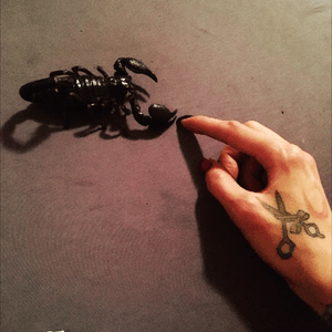 #reptilelove #hand #handtattoo #inkedgirl #inkedchick #inkedlife #inkedlove #skorpionlove #reptile 