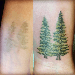 I got the trees on the left in July at a place in Appleton, WI. Two months later I had to get it covered up!! I'm beyond pleased with the cover up!! #pinetree #coverup #wrist #nature #oshkosh #wisconsin #biggunstattoo