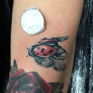 Itty bitty #ladybug #tattoo #ladybugtattoo 
