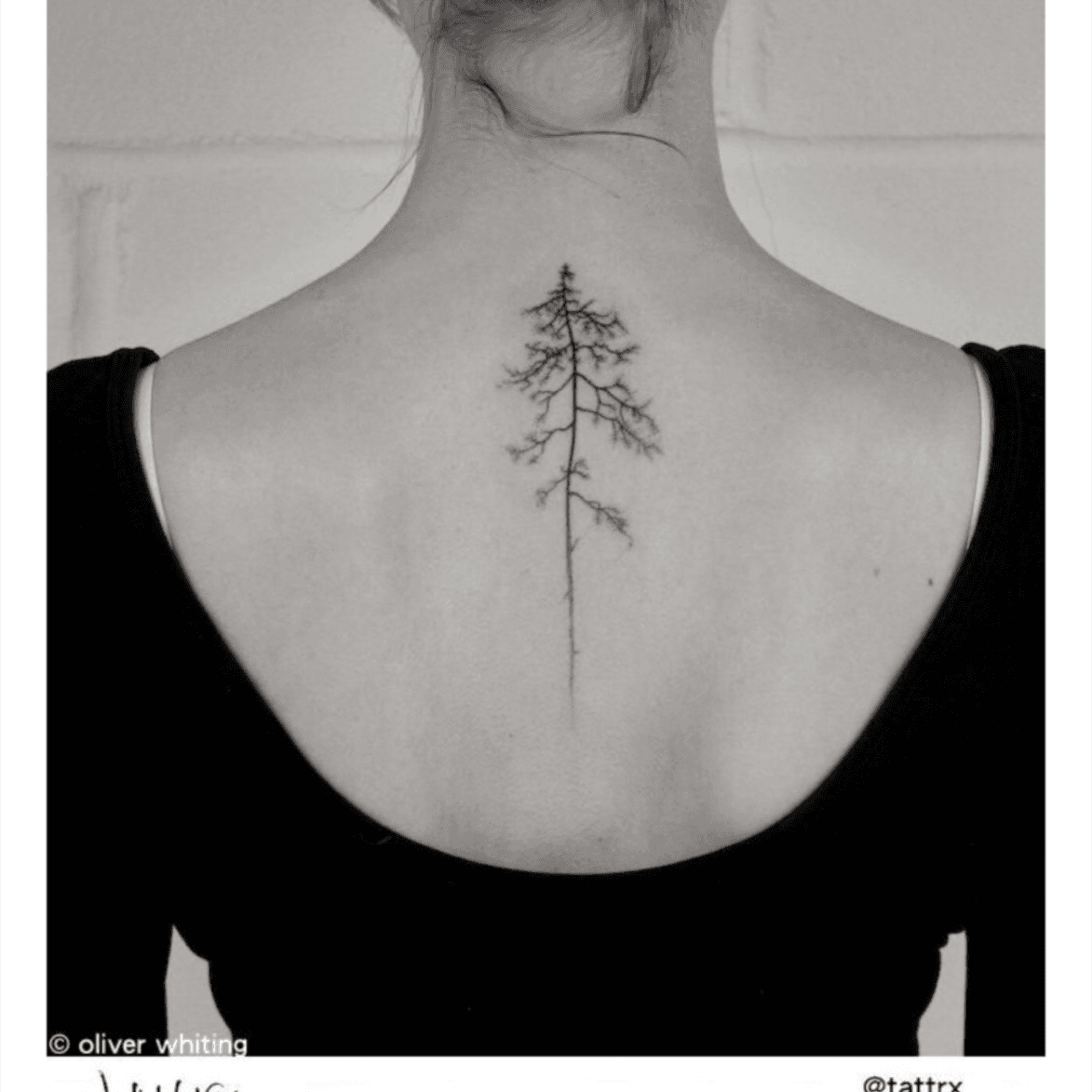 80 Best Olive Tree and Branch Tattoo Designs  Meaning and Ideas