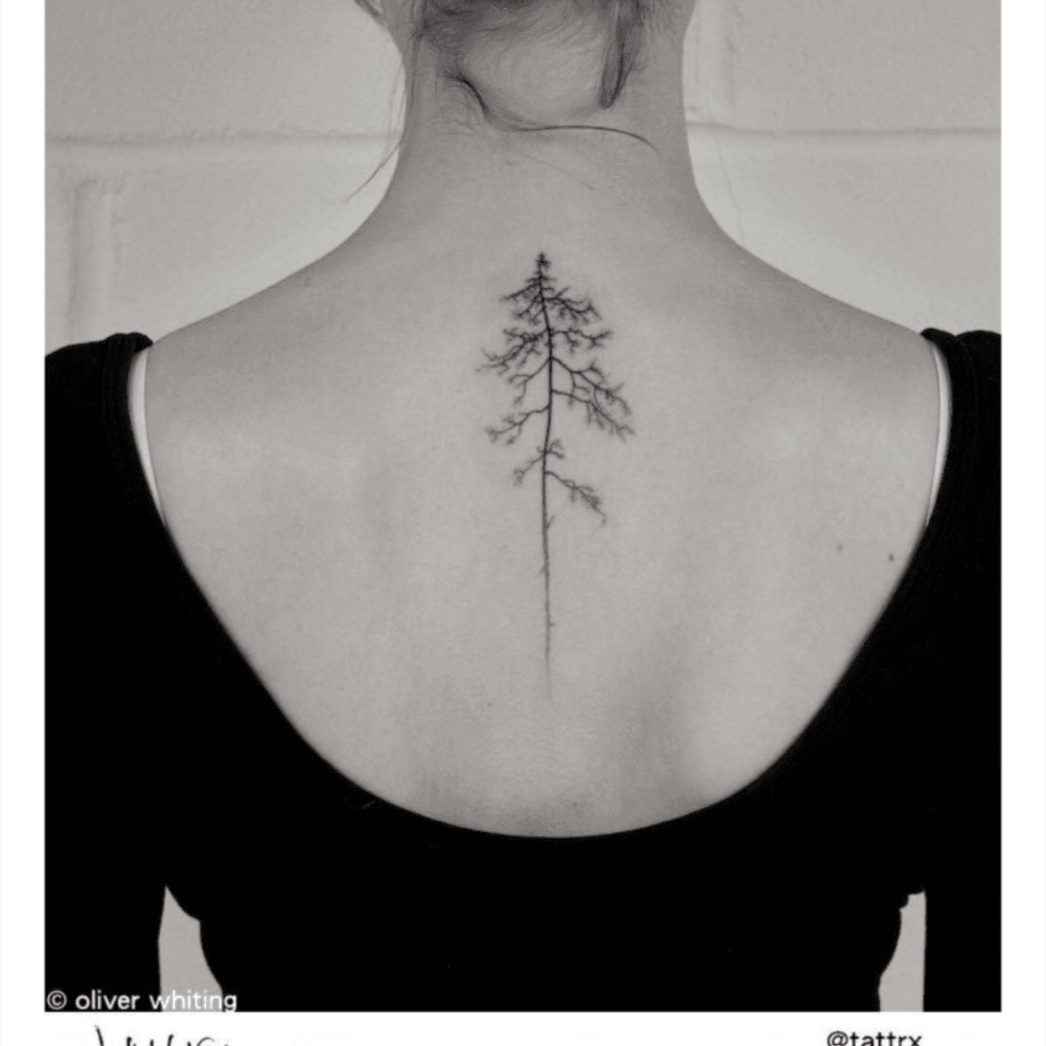 40 Tree Back Tattoo Designs For Men  Wooden Ink Ideas